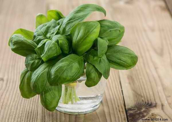 How to Keep Fresh Herbs Fresh 3x Longer: Expert Storage Tips