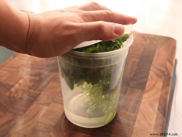 How to Keep Fresh Herbs Fresh 3x Longer: Expert Storage Tips