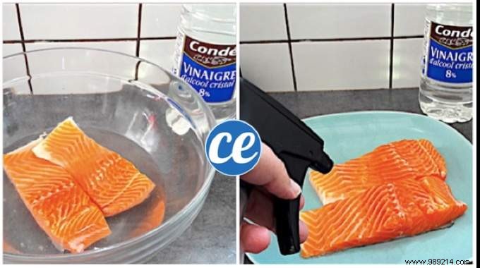 Prevent Food Poisoning from Fish and Seafood: The Proven White Vinegar Method