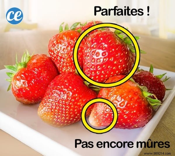 9 Expert Tips to Pick the Sweetest, Juiciest Strawberries Every Time