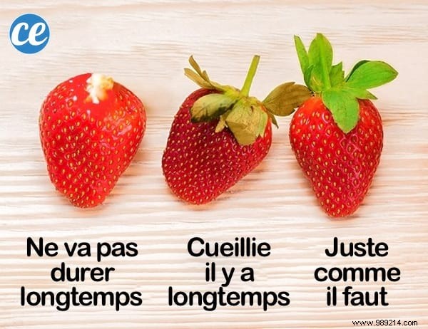 9 Expert Tips to Pick the Sweetest, Juiciest Strawberries Every Time