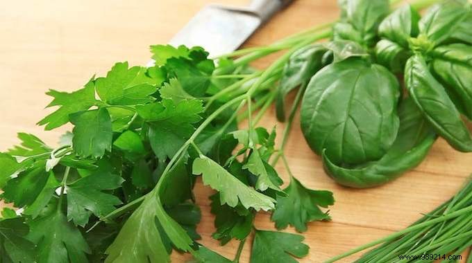 Ultimate Guide to Aromatic Herbs: Perfect Pairings for Every Dish