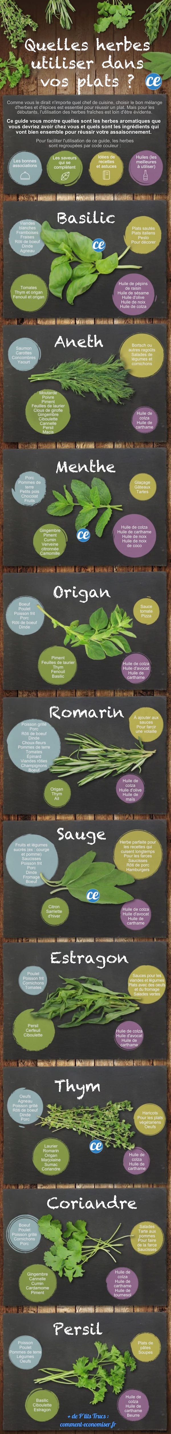 Ultimate Guide to Aromatic Herbs: Perfect Pairings for Every Dish