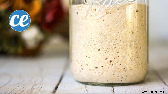 Easy Homemade Sourdough Starter: Foolproof Recipe for Bread and Pizza