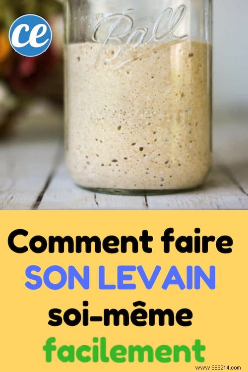 Easy Homemade Sourdough Starter: Foolproof Recipe for Bread and Pizza