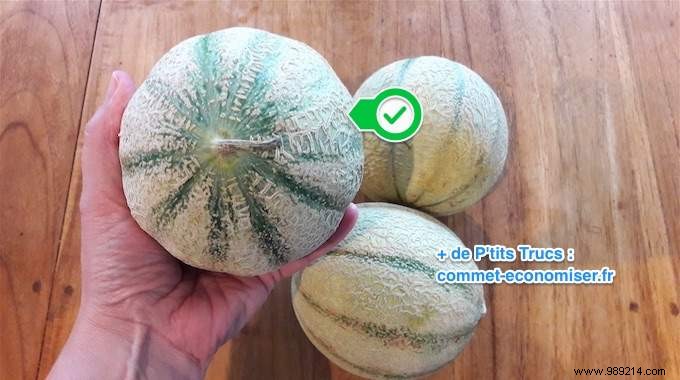 4 Proven Tips to Pick the Perfect Ripe Melon Every Time