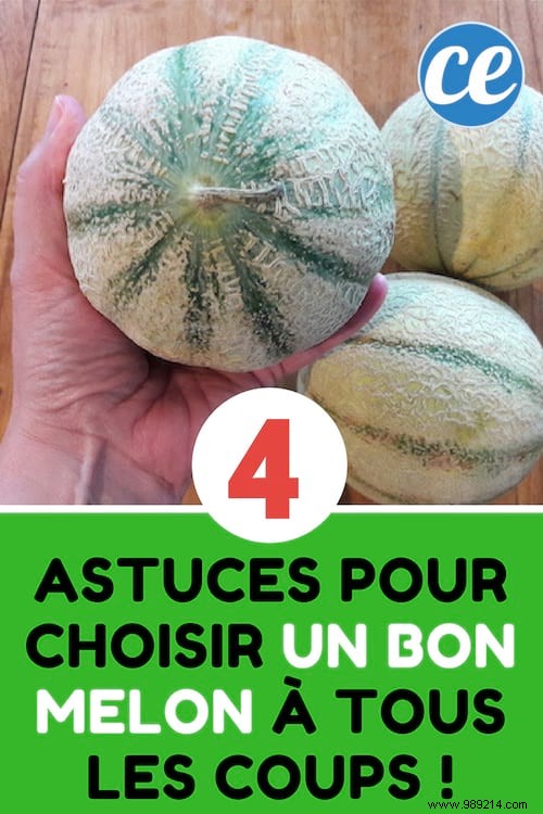 4 Proven Tips to Pick the Perfect Ripe Melon Every Time