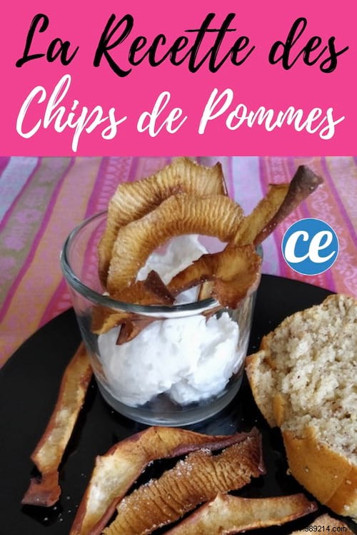 Transform Apple Peels into Crispy Sweet Chips: Simple Zero-Waste Recipe