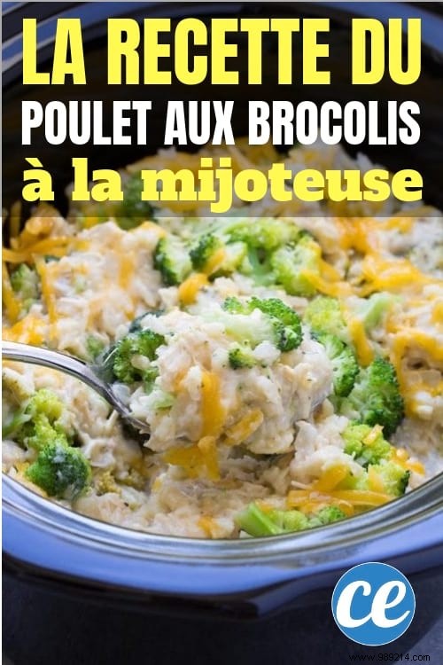 Easy Slow Cooker Chicken and Broccoli: Creamy, Healthy Family Dinner Recipe