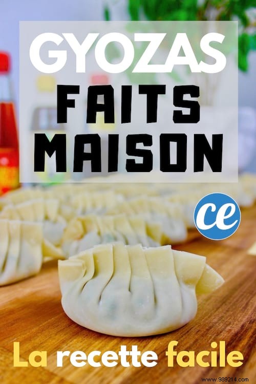 Easy Homemade Gyoza Recipe: Crispy Japanese Pork Dumplings Ready in Minutes