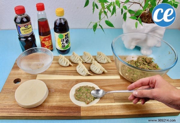 Easy Homemade Gyoza Recipe: Crispy Japanese Pork Dumplings Ready in Minutes