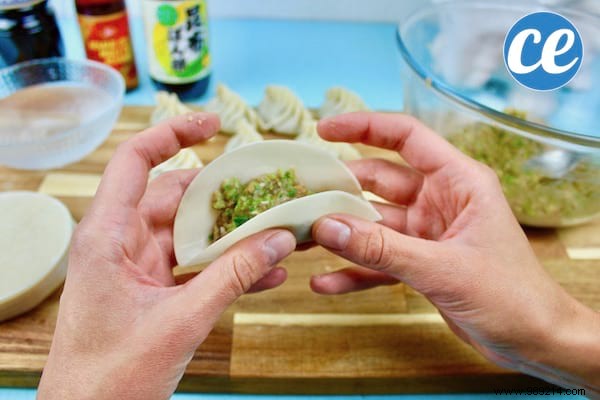 Easy Homemade Gyoza Recipe: Crispy Japanese Pork Dumplings Ready in Minutes