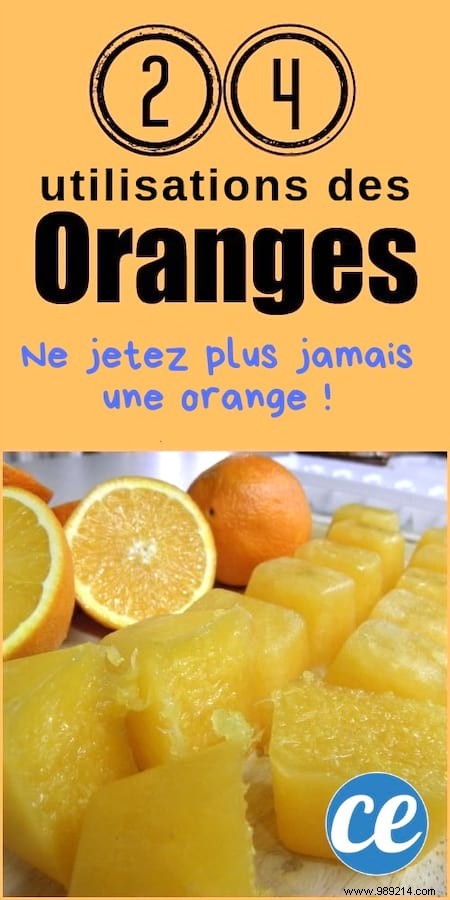 24 Smart Ways to Use Oranges and Peels: Zero Waste from Bulk Buys