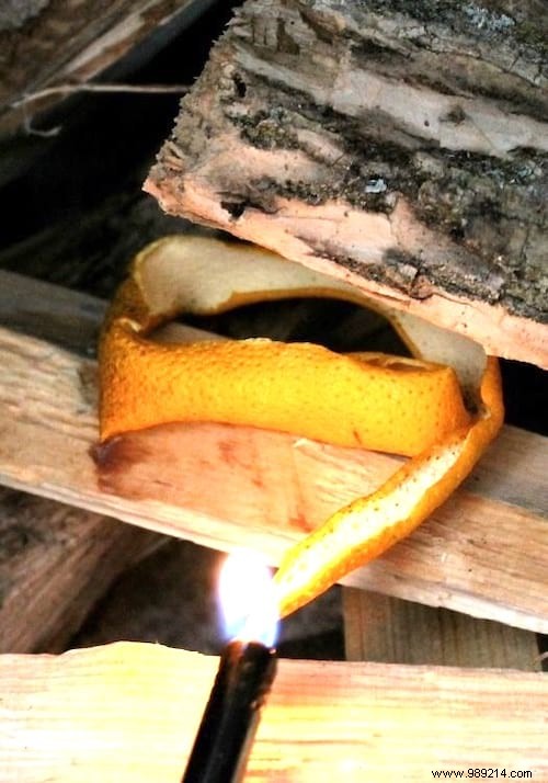 24 Smart Ways to Use Oranges and Peels: Zero Waste from Bulk Buys