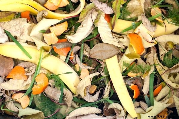 24 Smart Ways to Use Oranges and Peels: Zero Waste from Bulk Buys