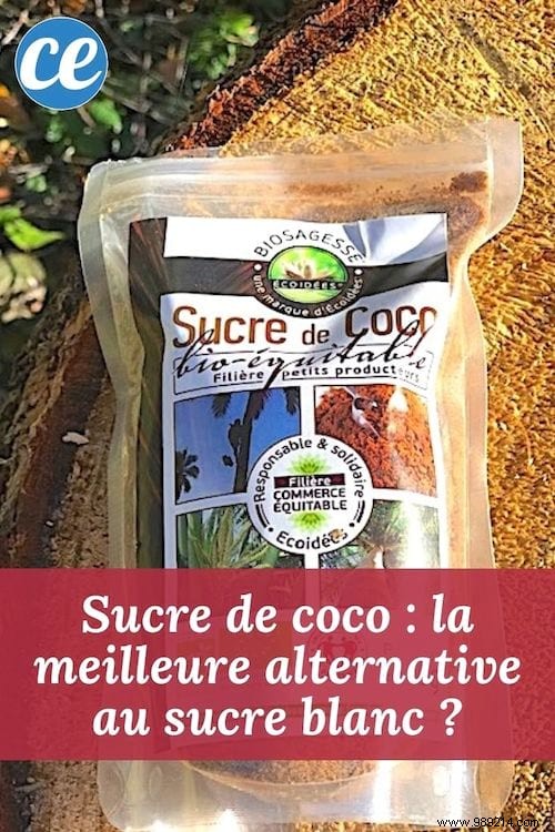 Coconut Sugar: The Superior Natural Alternative to White Sugar?