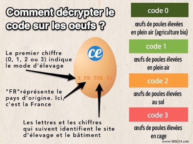How to Decode Egg Codes: Your Guide to Smarter, Ethical Egg Shopping