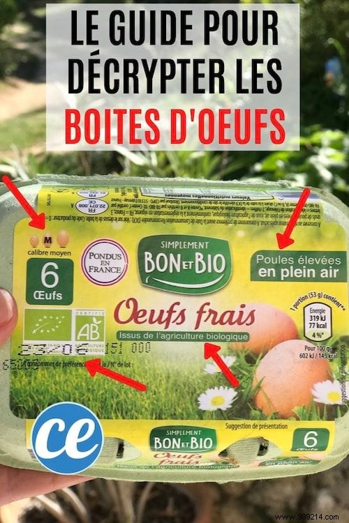 How to Decode Egg Codes: Your Guide to Smarter, Ethical Egg Shopping