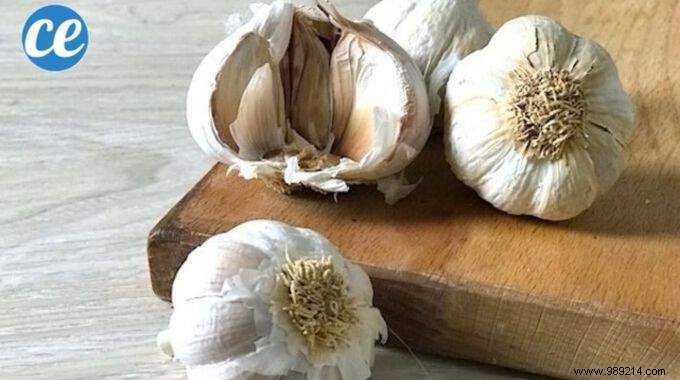 How to Choose Fresh Garlic: Expert Tips for Perfect Bulbs Every Time