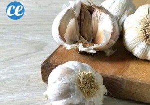 How to Choose Fresh Garlic: Expert Tips for Perfect Bulbs Every Time