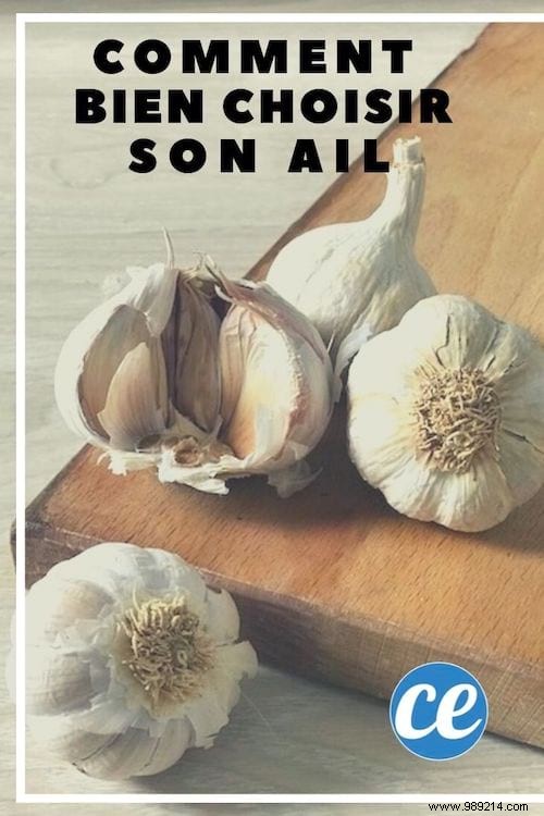 How to Choose Fresh Garlic: Expert Tips for Perfect Bulbs Every Time