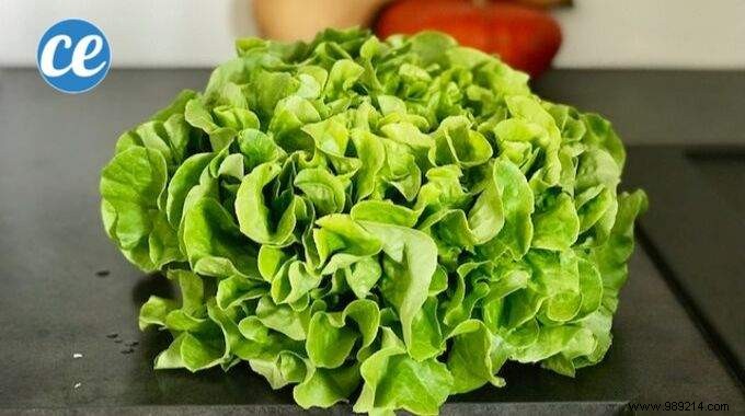 How to Safely Remove Pesticides from Salad Leaves: A Proven, Simple Method