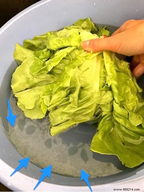 How to Safely Remove Pesticides from Salad Leaves: A Proven, Simple Method