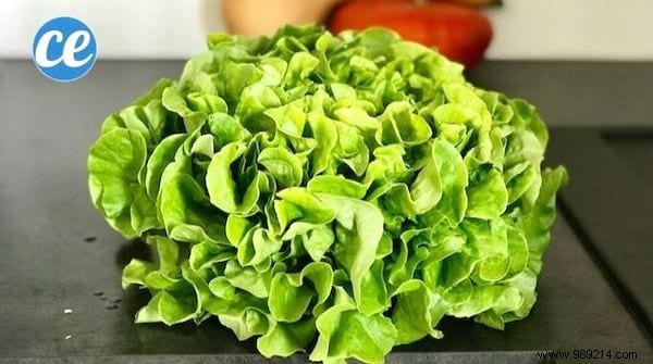 How to Safely Remove Pesticides from Salad Leaves: A Proven, Simple Method