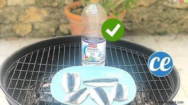 Proven Vinegar Trick: Stop Fish from Sticking to Your BBQ Grill