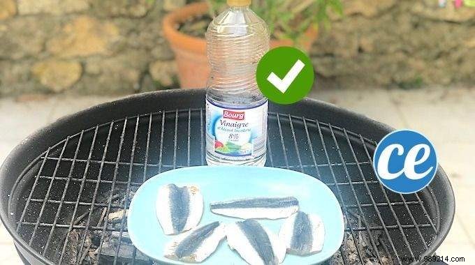 Proven Vinegar Trick: Stop Fish from Sticking to Your BBQ Grill