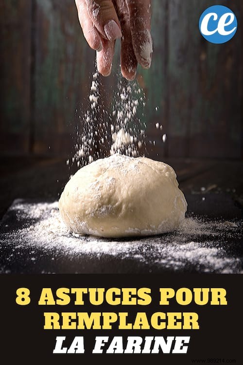 8 Proven Wheat Flour Substitutes for Baking and Cooking