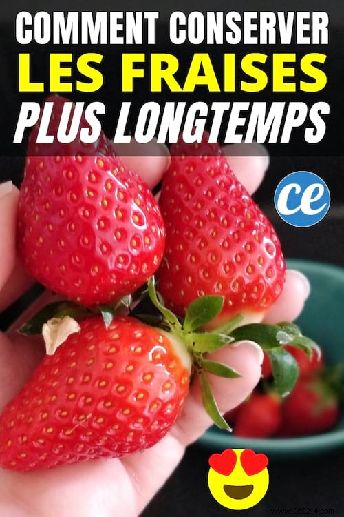 Proven Method: Keep Strawberries Fresh in the Fridge for Weeks