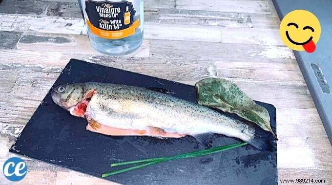 3 Proven White Vinegar Tips for Perfect Fish Every Time