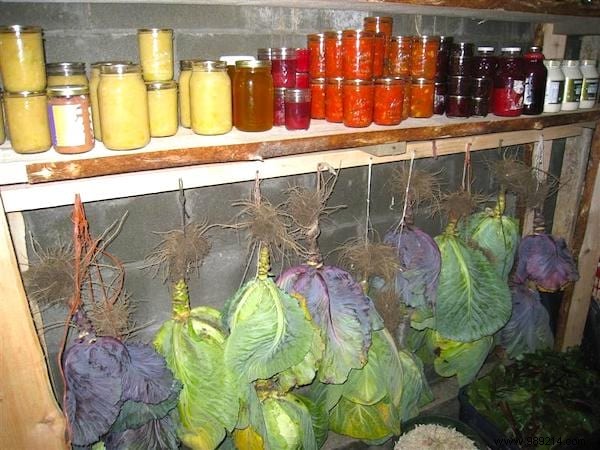 How to Store Fruits and Vegetables for Months Without a Refrigerator: Proven Root Cellar Techniques