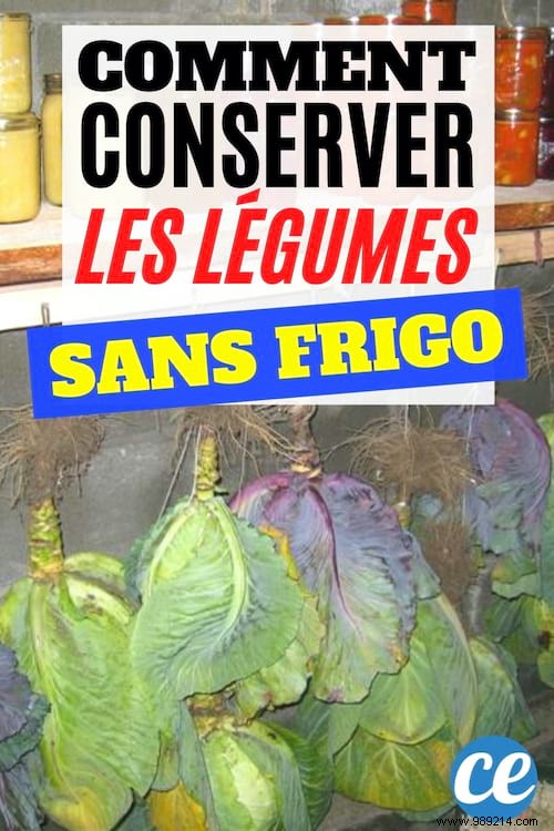 How to Store Fruits and Vegetables for Months Without a Refrigerator: Proven Root Cellar Techniques