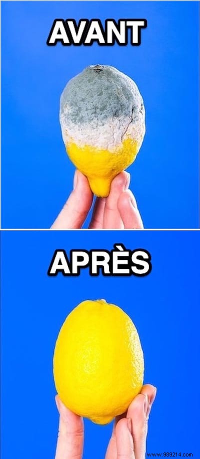 Expert Tips: How to Keep Fruits Fresh Twice as Long