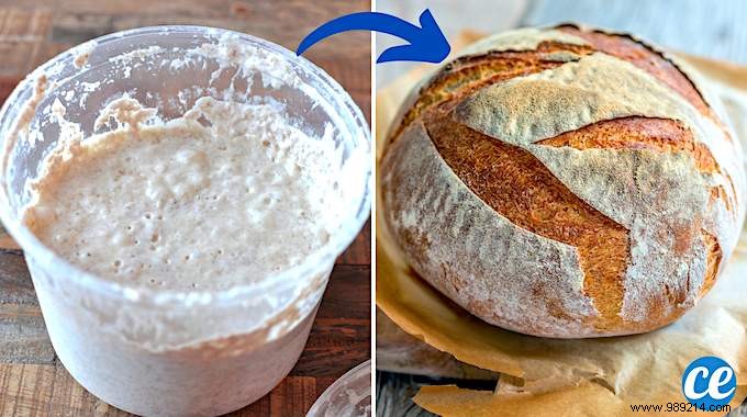 3 Proven Homemade Baker s Yeast Recipes: Beer, Potato, and Flour Methods