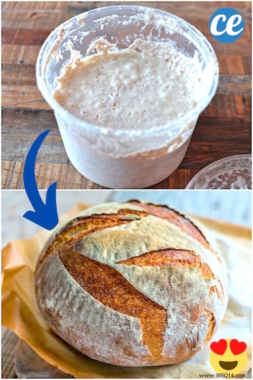 3 Proven Homemade Baker s Yeast Recipes: Beer, Potato, and Flour Methods