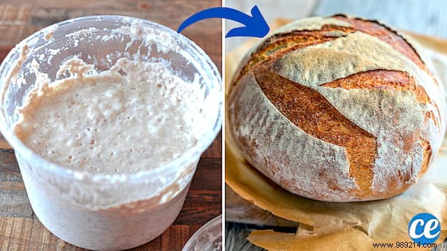 3 Proven Homemade Baker s Yeast Recipes: Beer, Potato, and Flour Methods