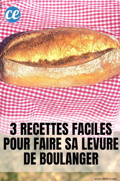 3 Proven Homemade Baker s Yeast Recipes: Beer, Potato, and Flour Methods