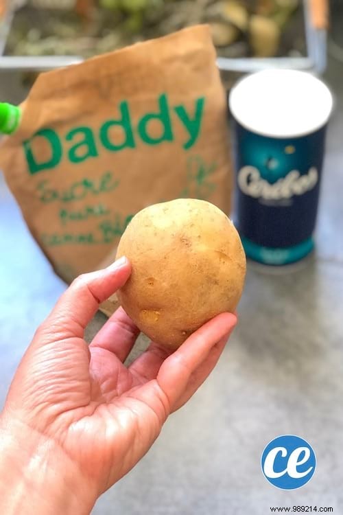 3 Proven Homemade Baker s Yeast Recipes: Beer, Potato, and Flour Methods