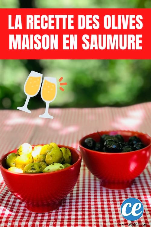 How to Preserve Olives for Months: A Proven Brine Method from Mediterranean Tradition