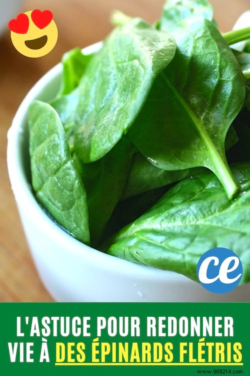 Revive Wilted Spinach in Just 1 Minute: Proven Vinegar-Sugar Trick