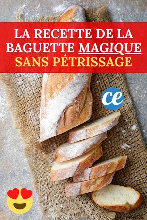 Easy No-Knead Homemade Baguette Recipe: Just 4 Ingredients