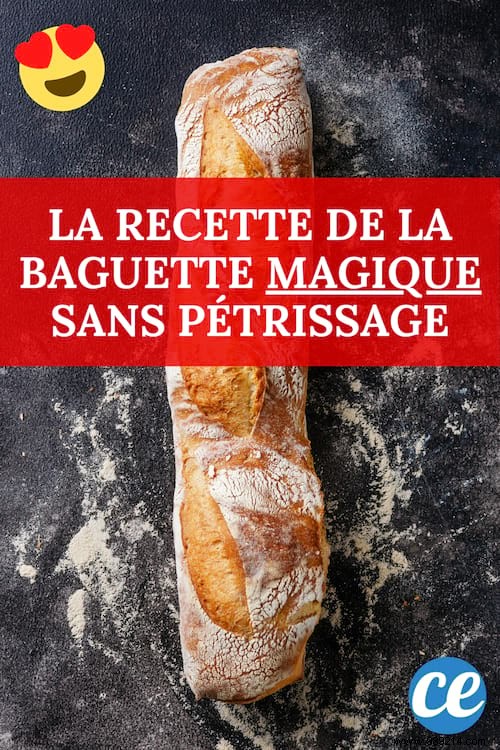 Easy No-Knead Homemade Baguette Recipe: Just 4 Ingredients