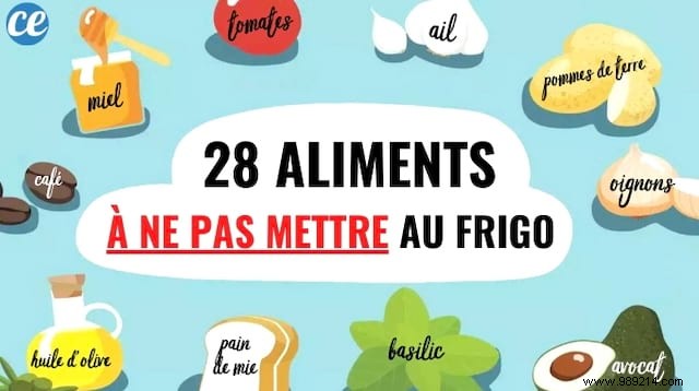 28 Foods You Should Never Refrigerate: Expert Tips for Better Storage and Less Waste