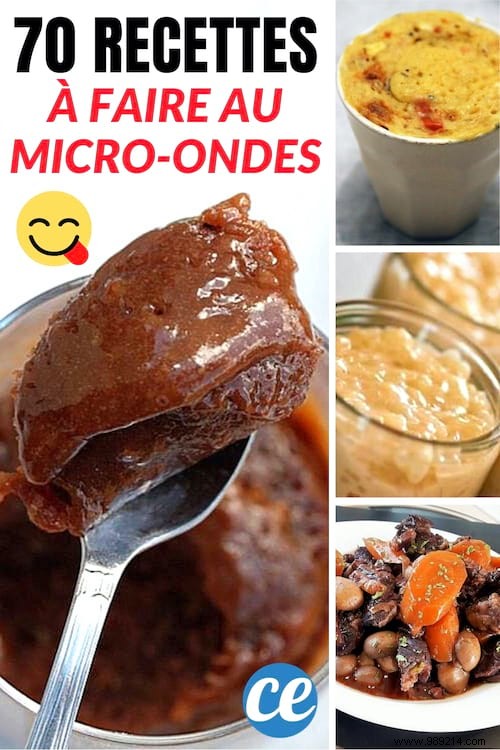 70 Easy, Quick, and Budget-Friendly Microwave Recipes: Savory and Sweet