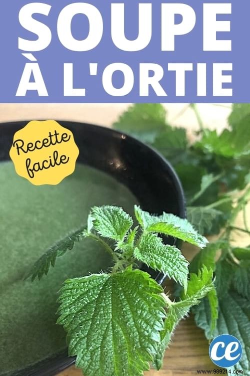 Traditional Nettle Soup Recipe: Easy, Free-Foraged, and Nutrient-Rich