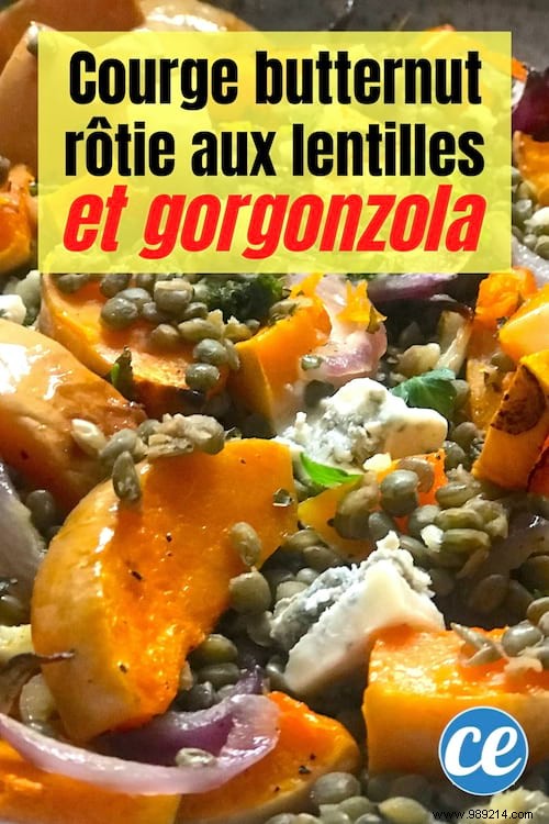 Easy Roasted Butternut Squash with Lentils and Gorgonzola: A Flavorful Vegetarian Recipe