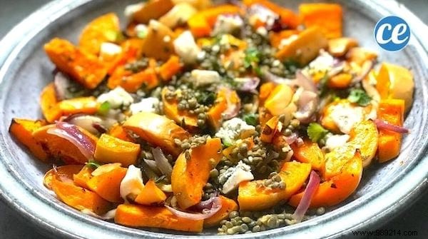 Easy Roasted Butternut Squash with Lentils and Gorgonzola: A Flavorful Vegetarian Recipe